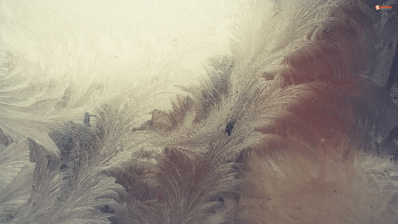 Ice Flowers
